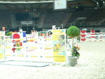 Pappas Amadeus Horse Indoors 4595419