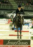 Pappas Amadeus Horse Indoors 4618827