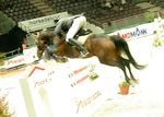 Pappas Amadeus Horse Indoors 4619385