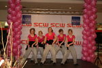 Pink Ribbon Tour 2008 SCW 47462413