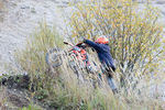 Bikercom Schottergrubentraining  4691898