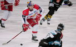 EC Red Bull Salzburg - EHC Liwest Linz