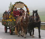 Nationalfeiertag - Leonhardiritt mit Pferdesegnung 4696158