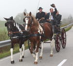 Nationalfeiertag - Leonhardiritt mit Pferdesegnung 4696159