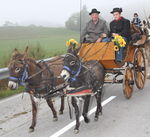 Nationalfeiertag - Leonhardiritt mit Pferdesegnung 4696163