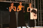 Austrian Hairdressing Award 2008 4765824