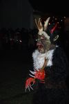 Waldviertler Krampusspektakel 4861199