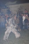 Waldviertler Krampusspektakel 4861207