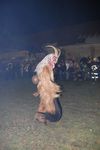 Waldviertler Krampusspektakel 4861208