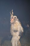 Waldviertler Krampusspektakel 4861209