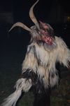 Waldviertler Krampusspektakel 4861210