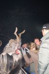 Waldviertler Krampusspektakel 4861212