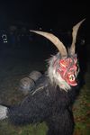 Waldviertler Krampusspektakel 4861225