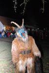 Waldviertler Krampusspektakel 4861229