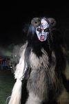 Waldviertler Krampusspektakel 4861265