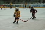 Vienna Capitals - Tag der offenen Tür 4862690