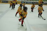 Vienna Capitals - Tag der offenen Tür 4862695