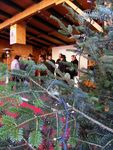 Weihnachtsmarkt Mondsee 4866017