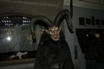 Krampuslauf Linzergasse 4896122