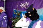 Milka Weihnachtstruck mit Sandra Pires 4901399