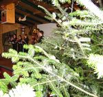 Weihnachtsmarkt Mondsee 4928605