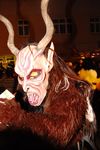 Wilhelmsburger Perchtenlauf 4931361