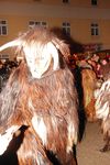 Wilhelmsburger Perchtenlauf 4931401