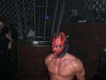 Ladies Night 4932505