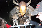 Krampus- & Perchtenlauf in Windischgarsten  4938441