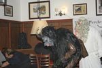 Krampuskränzchen Thoma Perchten 4956884