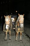 Christkindlmarkt