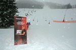 Gold Ski Challenge 4991936