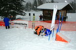 Gold Ski Challenge 4991942