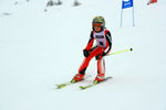 Gold Ski Challenge 4991984