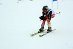 Gold Ski Challenge 4991991