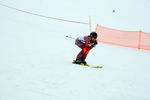Gold Ski Challenge 4991994