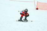Gold Ski Challenge 4991997