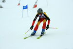 Gold Ski Challenge 4992042