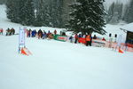 Gold Ski Challenge 4992082