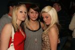 Weekendparty in der Segabar 5086417