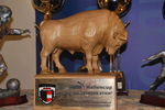 Salzburger Stier - Hallencup  5094931