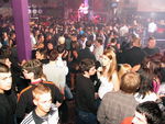 SZENE1-JUNGLE-PARTY 5445772