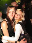 SZENE1-JUNGLE-PARTY 5445841