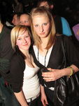 SZENE1-JUNGLE-PARTY 5445877