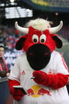 Red Bull Salzburg : SK Rapid Wien 5479988