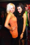 Bar, Babes & Bouncers 13 5571183