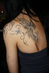 Ich bin ein Star- Holt mich hier raus!!  5606762