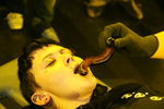 Ich bin ein Star- Holt mich hier raus!!  5607239