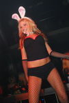 Bunnies On Party 5710184