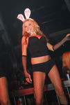 Bunnies On Party 5710186